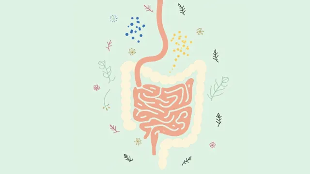 Psychotropic Medications and Digestion: What Your Gut Is Really Going Through