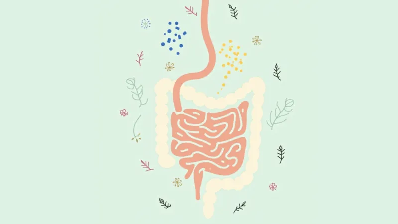 Psychotropic Medications and Digestion: What Your Gut Is Really Going Through