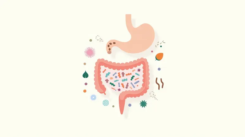 IBS vs IBD: What Are the Real Differences?