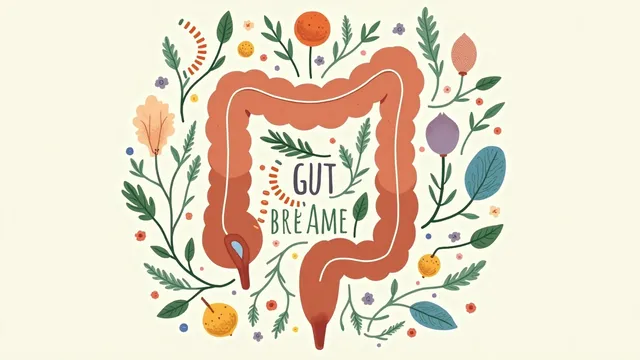 Comment la santé intestinale influence la sévérité du syndrome de l'intestin irritable