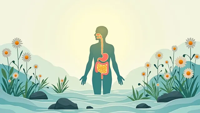Stress and Digestion: 6 Effective Techniques to Calm Your Gut