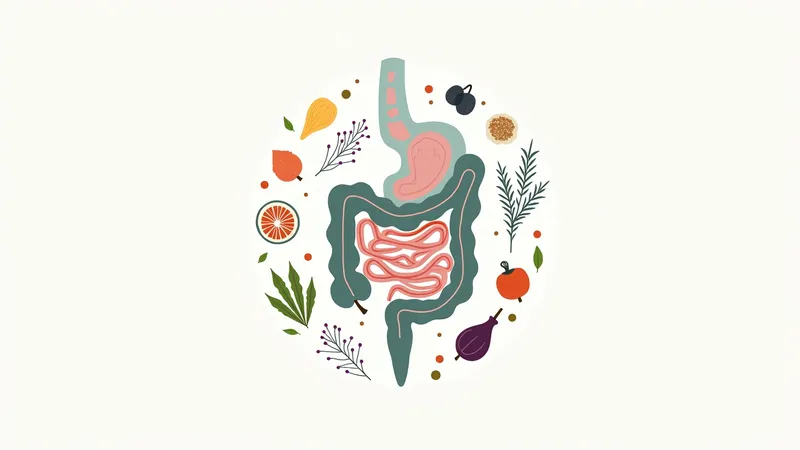 Probiotiques : comment choisir la bonne souche pour votre intestin