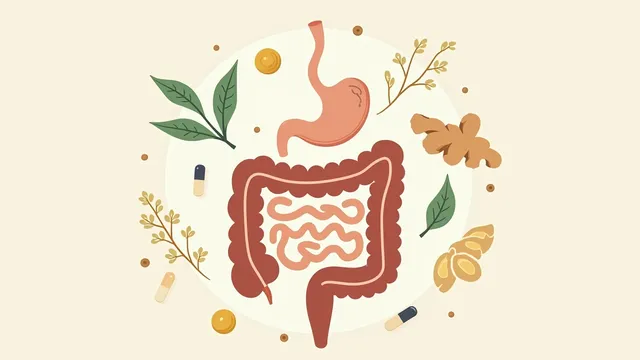 IBS Supplements: What Can Actually Help (and What's a Waste of Money)