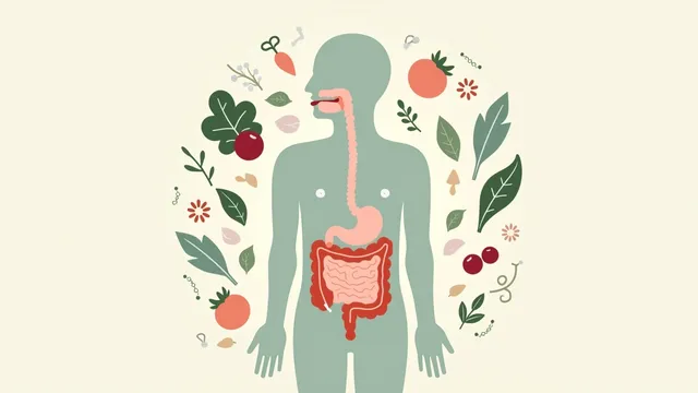 Digestive Inflammation: Recognising the Signs Before They Worsen