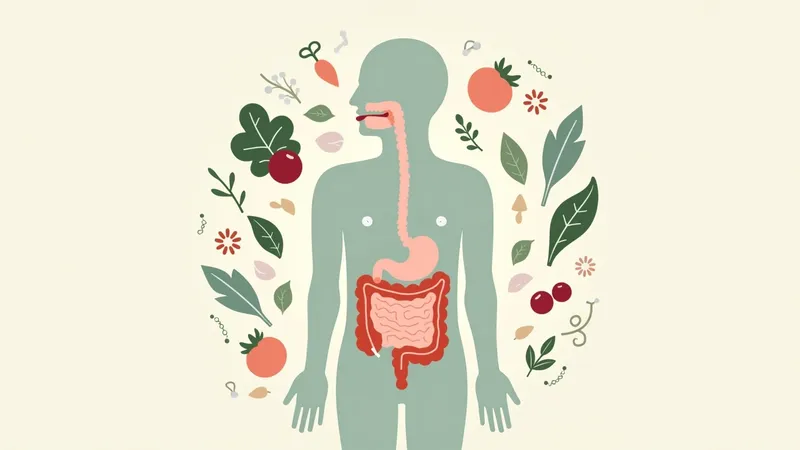 Digestive Inflammation: Recognising the Signs Before They Worsen