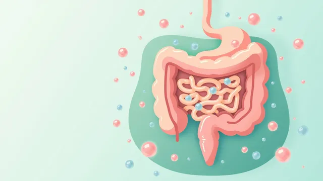 Chewing Gum and Fizzy Drinks: Why Do They Cause Bloating?