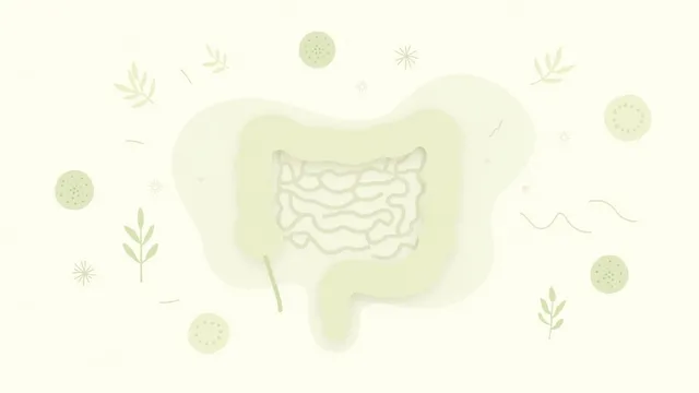 SII : comment le syndrome de l'intestin irritable impacte votre vie quotidienne et votre travail