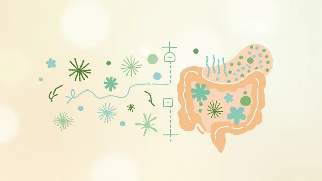 Probiotics for Diarrhoea and Constipation: What the Science Actually Says