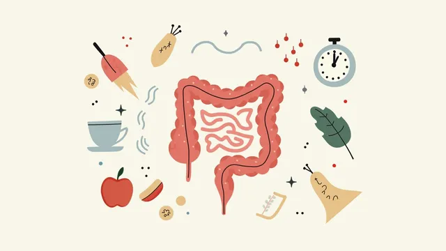 Irregular Routines: How an Unpredictable Lifestyle Disrupts Your Digestion