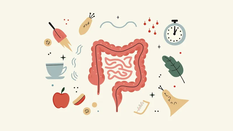Rythme de vie irrégulier : comment il perturbe votre digestion