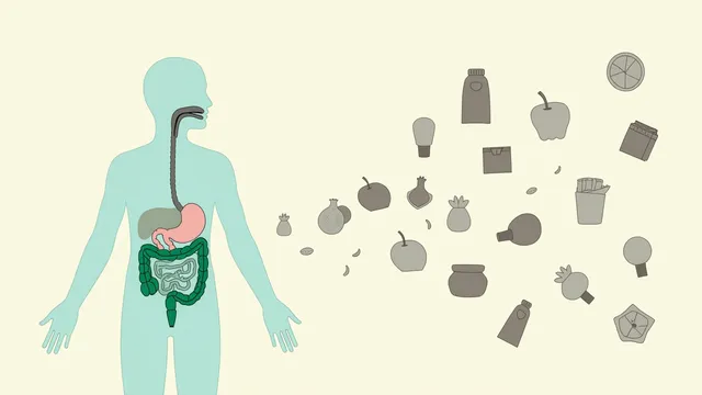 Ultra-Processed Foods: Why They're Wrecking Your Digestion