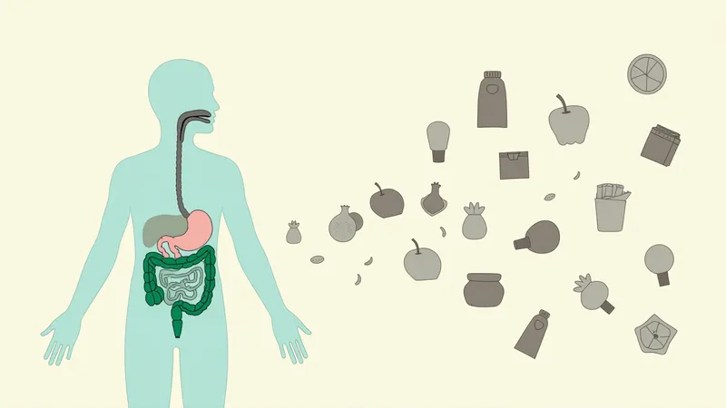 Aliments ultra-transformés : pourquoi ils sabotent votre digestion