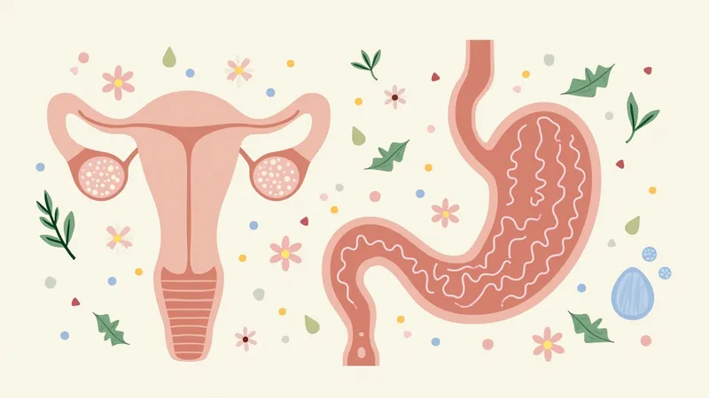 Female Hormones and IBS Flares: What Your Cycle Does to Your Gut