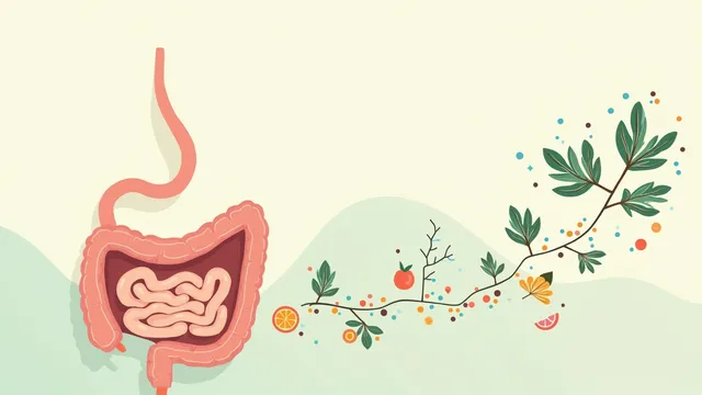 Bloating After Meals: What Can You Actually Do About It?