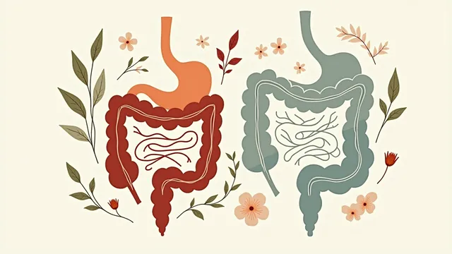 Acid Reflux and Irritable Bowel Syndrome: When Your Stomach and Gut Gang Up on You
