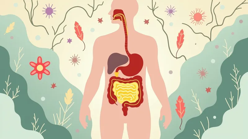 Stress and IBS: how your nerves send your gut into crisis